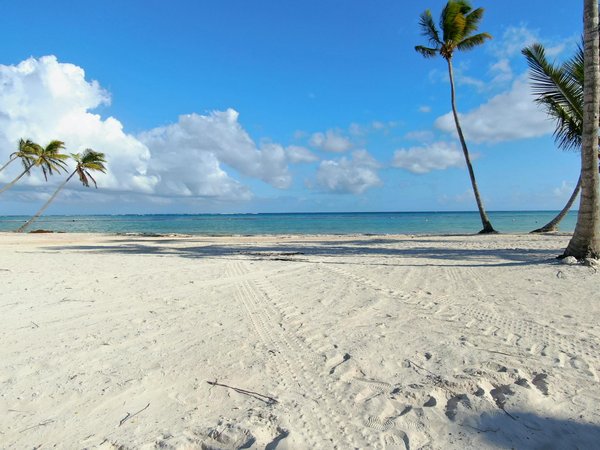 Comment optimiser l'espace dans une grande trousse de toilette ?